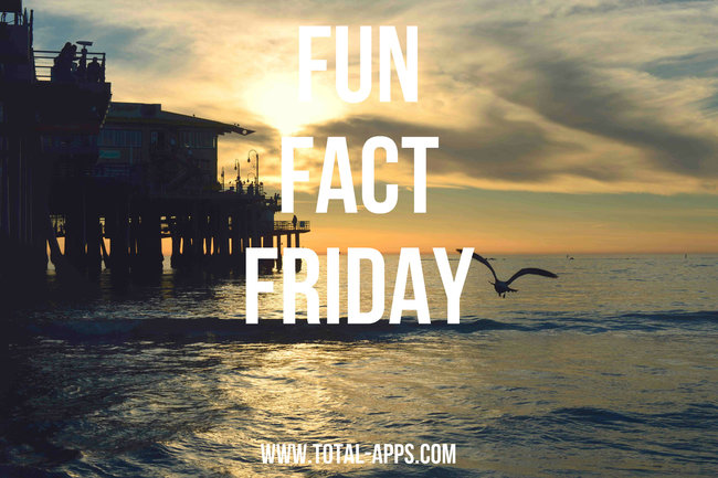 Fun Fact Friday – Credit Cards in the US