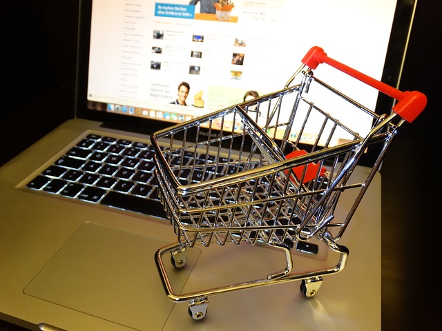 Shopping Cart vs Payment Gateway